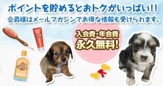 ペットショップ ワンラブ