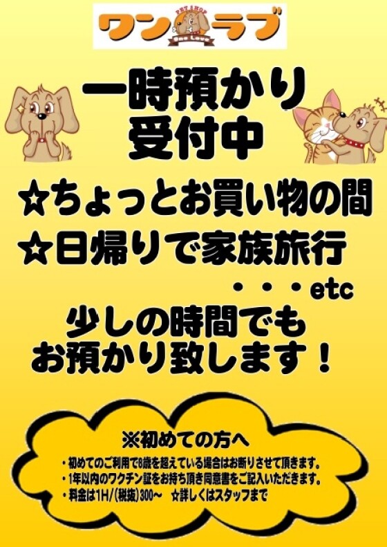 ペットショップ ワンラブ