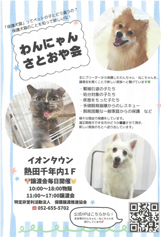 譲渡会のお知らせ