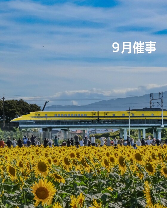 9月の催事