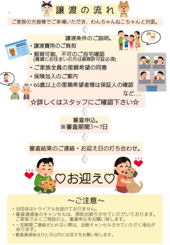 譲渡会のお知らせ