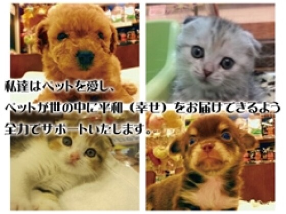ワンラブ