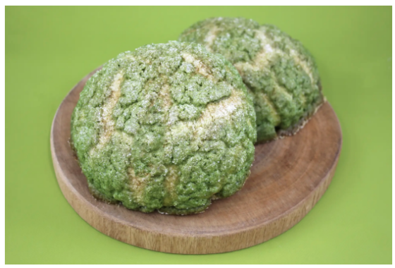 日本の春パンフェア