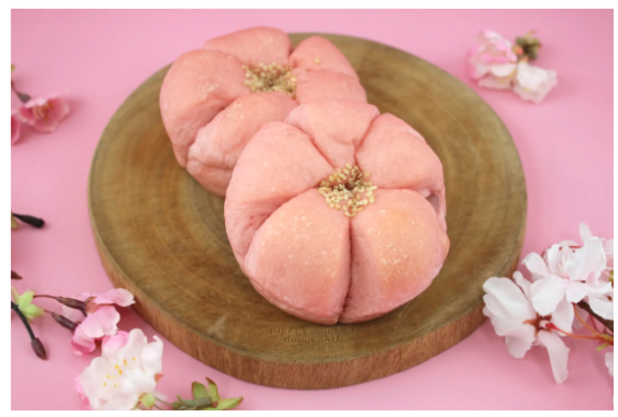 日本の春パンフェア