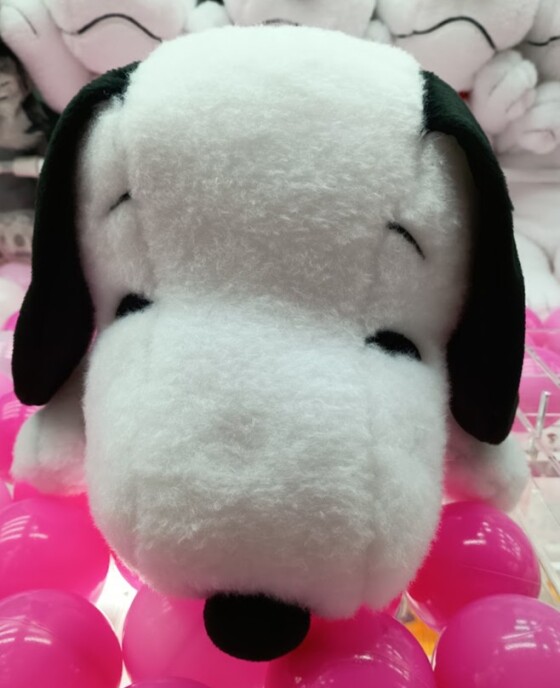 ✨新着景品情報✨ＳＮＯＯＰＹ　寝そべり　ＬＬぬいぐるみ