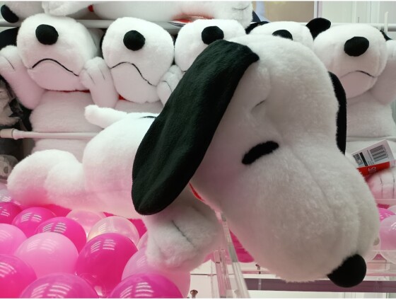 ✨新着景品情報✨ＳＮＯＯＰＹ　寝そべり　ＬＬぬいぐるみ