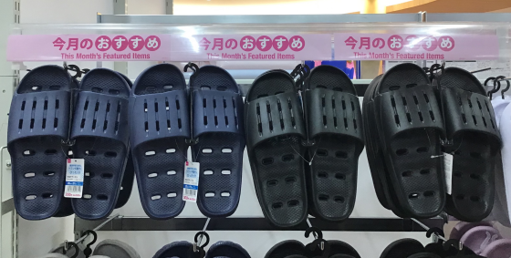 🐥今月のおすすめ商品　パート4🐥