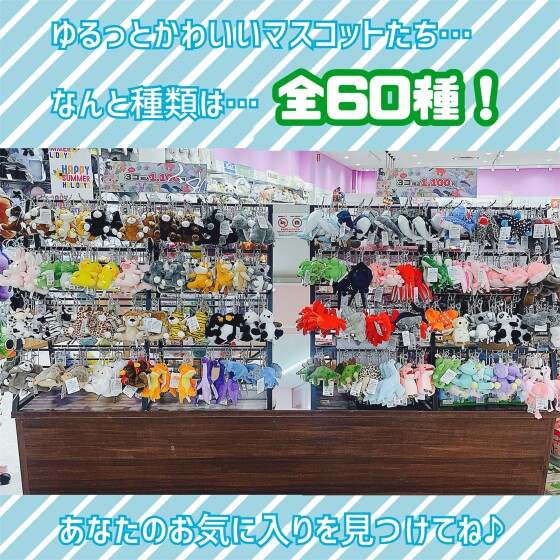 今アニマルマスコットがお買い得…！！🐶