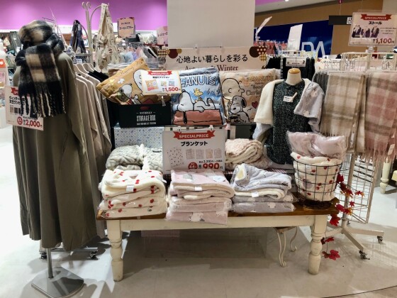 ✨数量限定の特価アイテム✨