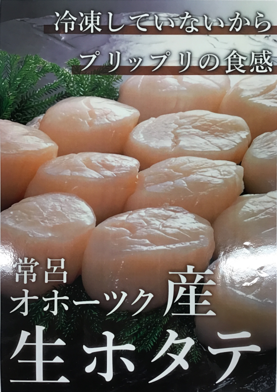 生ホタテ入荷しました！😋