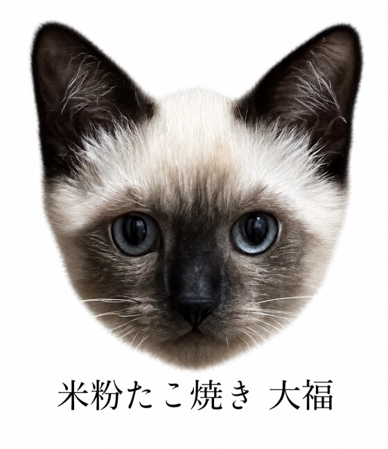 米粉たこやき　大福