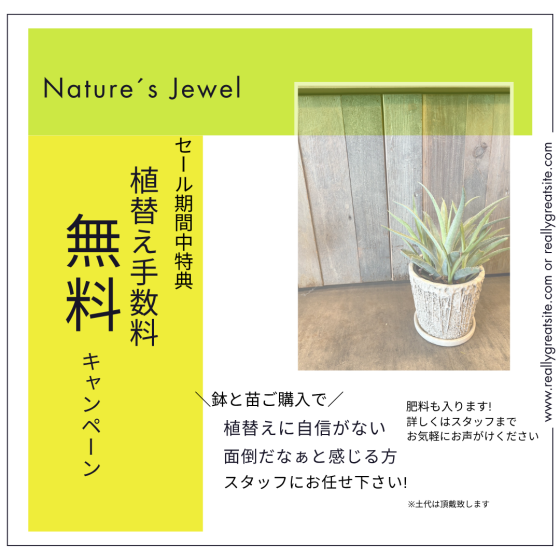 ＼今年は5日間限定／ サマーSALEのご案内‼︎