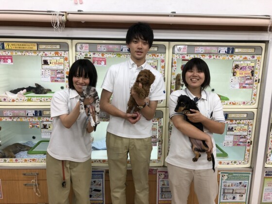 ひごペットフレンドリー