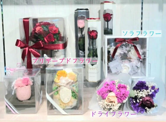 ＢＢ’ Ｆｌｏｗｅｒｓ