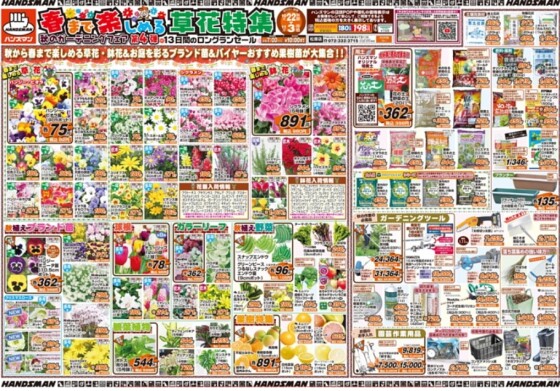 チラシ情報