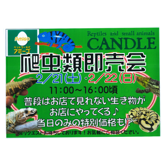 爬虫類即売会
