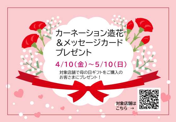 Motgher's Day カーネーション造花＆メッセージカード