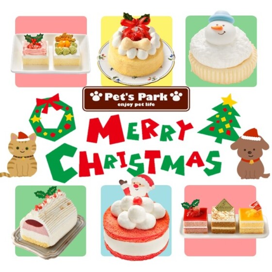 愛犬用🐶愛猫用🐱クリスマスケーキ予約受付中🎄