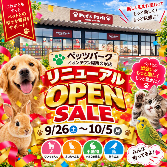 リニューアルオープンセール💥💥