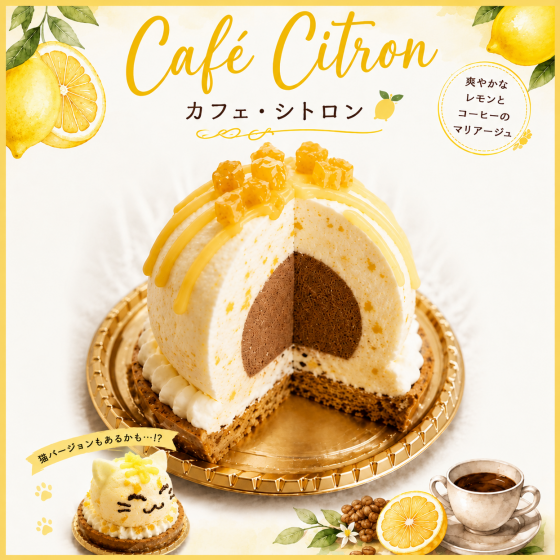 爽やかなレモンのレアチーズケーキ🍋カフェ・シトロン