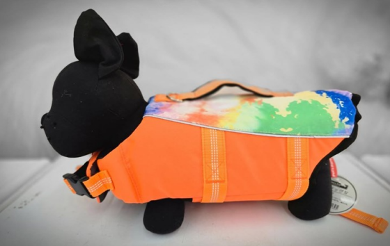 ワンちゃん用🐶ライフジャケット入荷しました✨