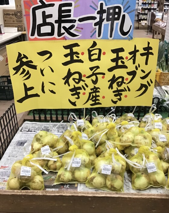 白子産玉ねぎが始まりました！！