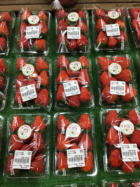 お待たせ致しました！