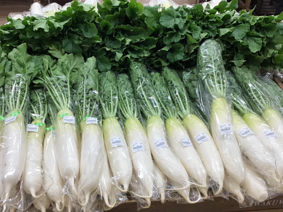 わくわく広場イオンタウンおゆみ野名物！！