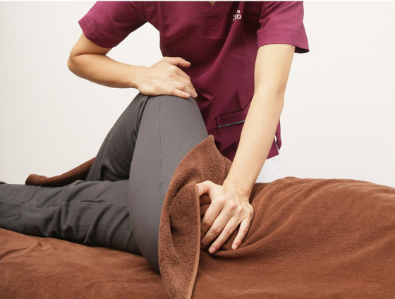 初回限定！！【姿勢矯正×骨盤矯正×AI姿勢分析】あなただけのオーダーメイド整体で根本改善！！