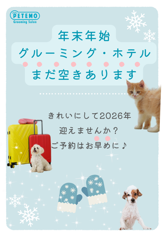 年末のグルーミングご予約受付中！