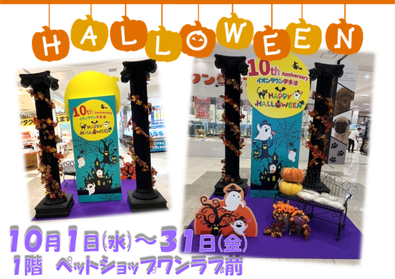 ハロウィーンフォトスポットで写真を撮ろう