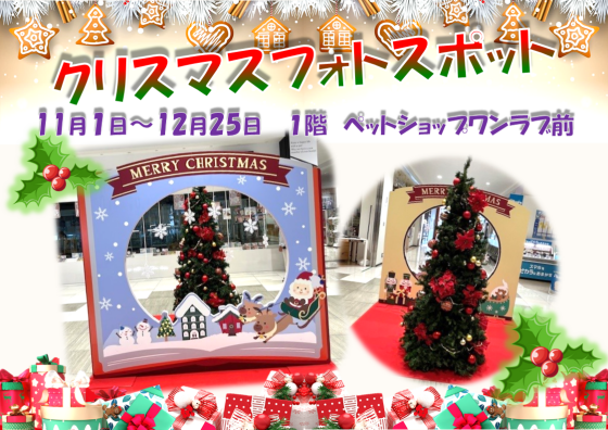 クリスマスフォトスポットでクリスマス気分♪