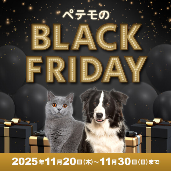 ペテモのブラックフライデー