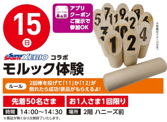 【アプリイベント】2/15（日）モルック体験