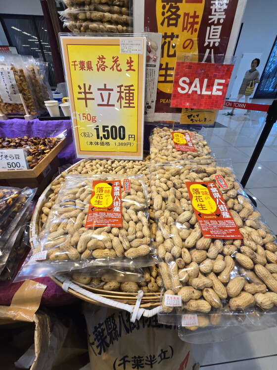 【催事】豆菓子催事