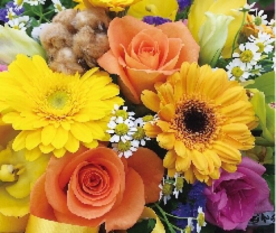 o's flower