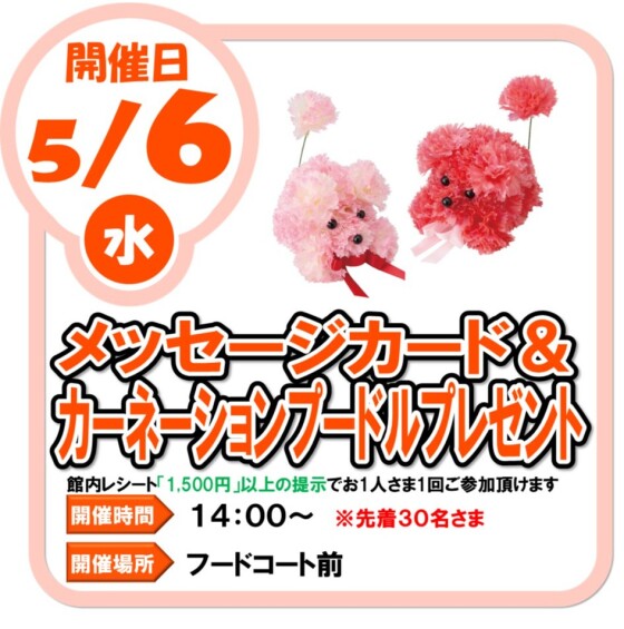 5/6（水）　メッセージカード＆カーネーションプードル　プレゼント