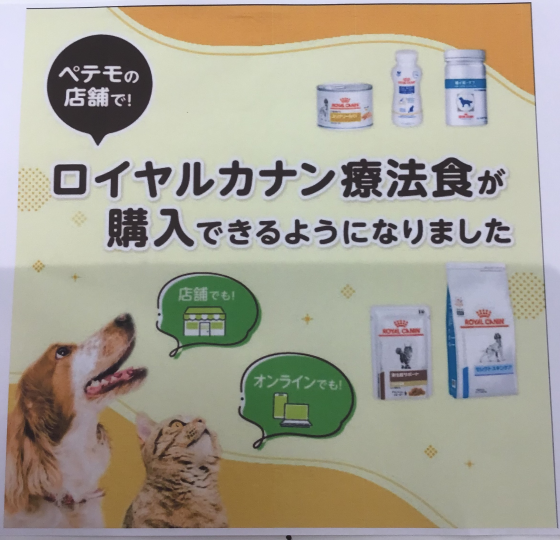 〈ペテモの店舗で〉ロイヤルカナン療法食が購入できるようになりました‼︎