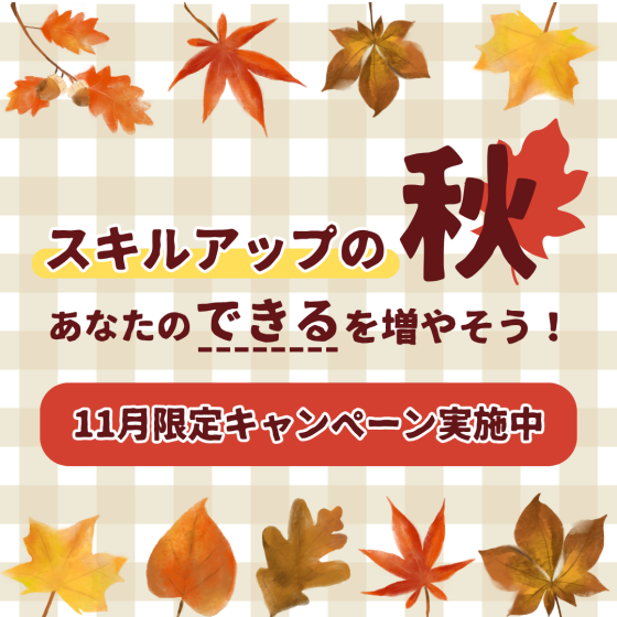 １１月キャンペーン