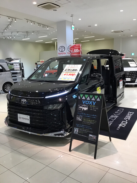 新しい仲間が入りました！