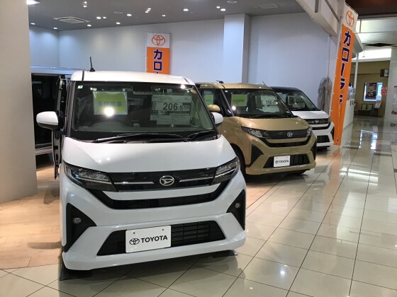 年末年始特別展示中！