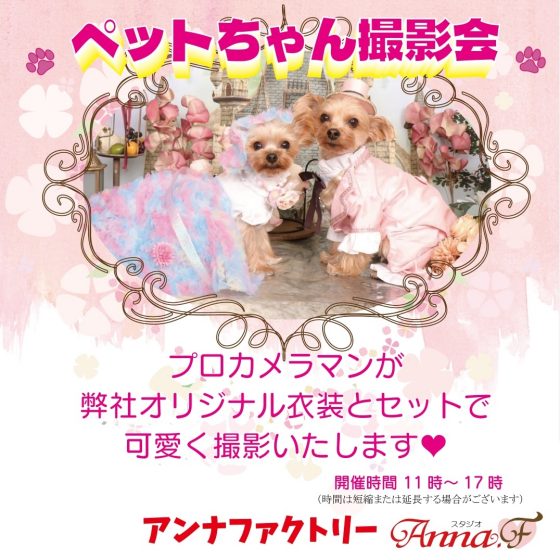 ペット撮影会のご案内