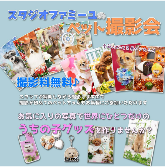 スタジオファミーユによる プロカメラマンによるペットの撮影会