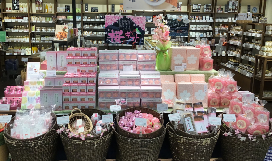 卒業入学👩‍🎓ご退職や入社祝いなど春の贈り物におすすめ🌸