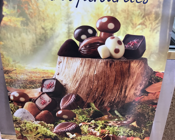 秋の商品入荷しました🍂