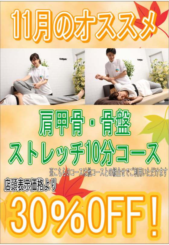 【11月のおすすめコース】