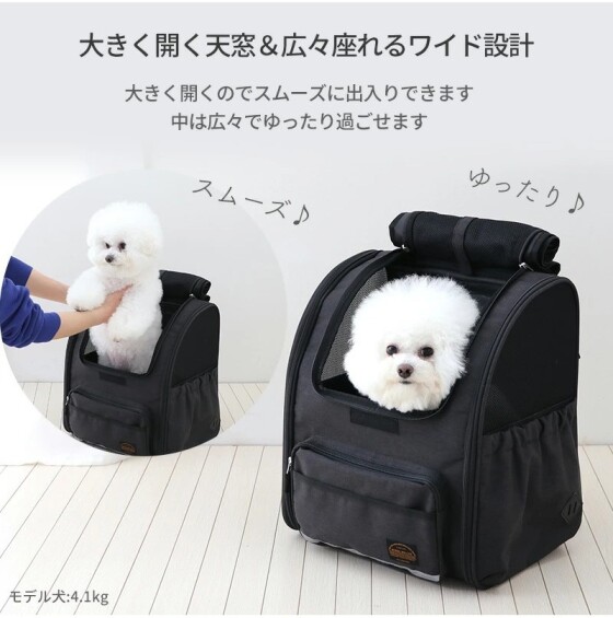 折畳ハウスリュック販売中！