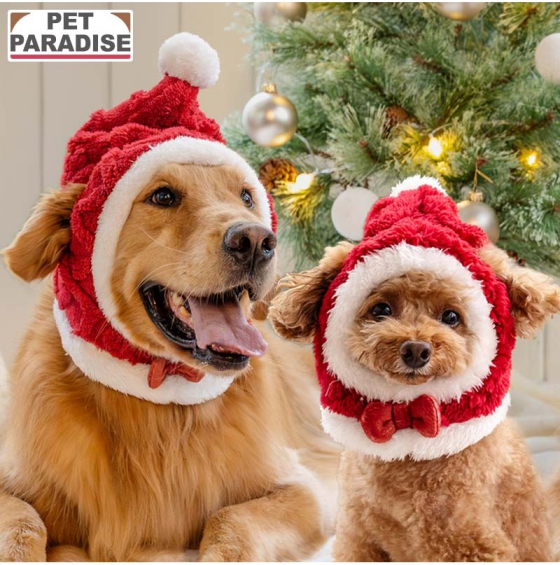 わんちゃん用クリスマス衣装販売中です♪