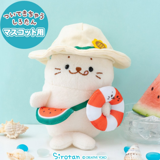 ついたん用夏セット入荷しました！