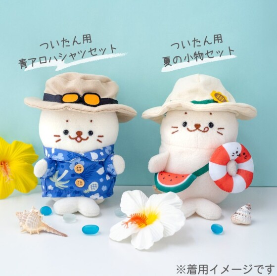 ついたん用夏セット入荷しました！